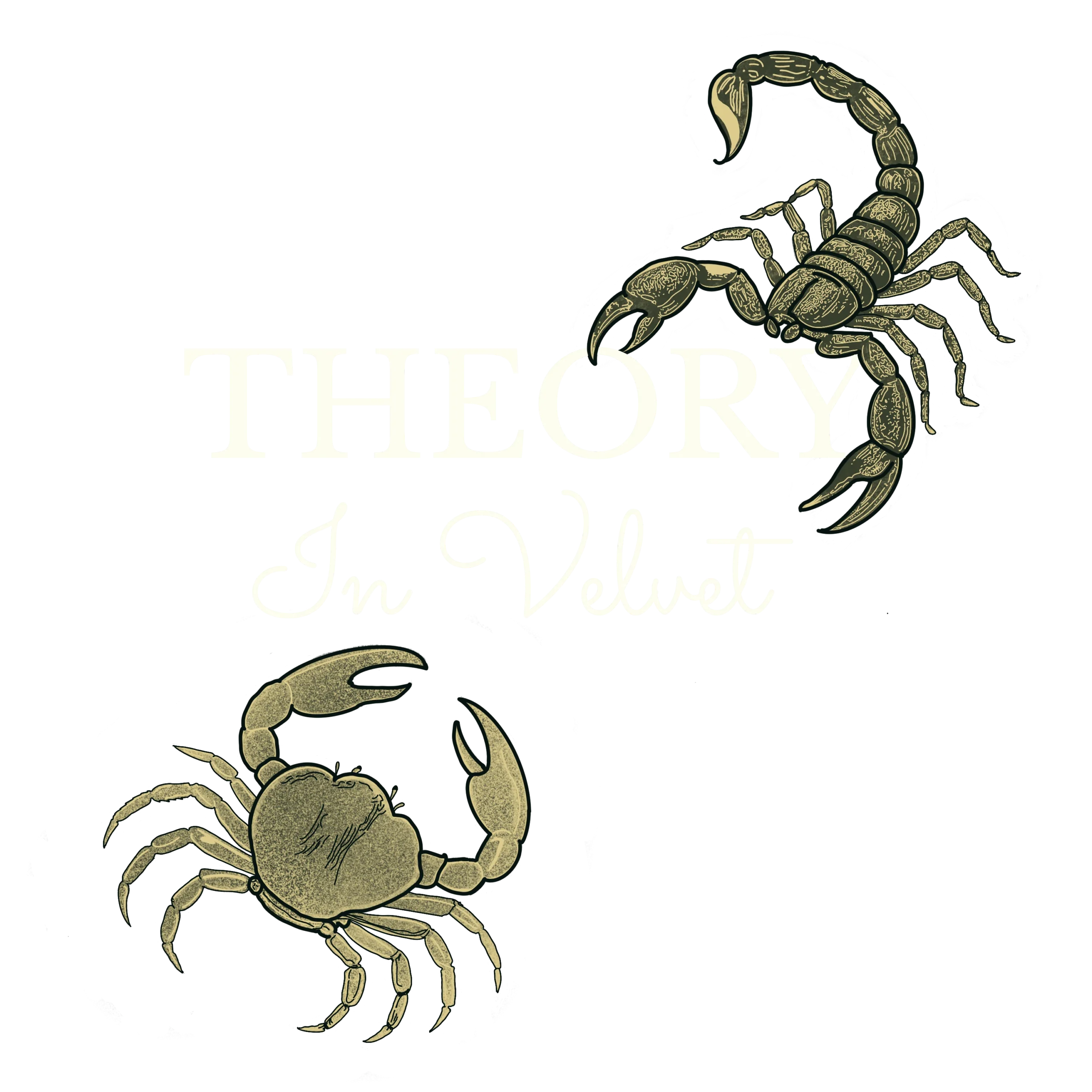 Theory in Velvet